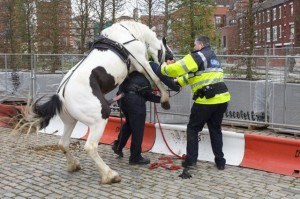 Here come the MOUNTED police