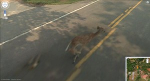 = =  =!OMFG!=  = = THIS is the SICKEST thing EVER seen on GOOGLE MAPS!