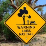 TOP 10 Bizarre Road Signs