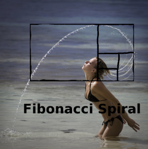Best way to learn Fibonacci ever   sexy